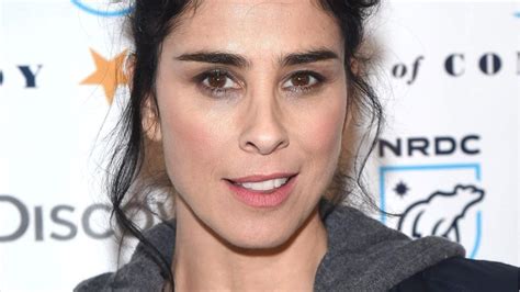 sarah silverman naked|Sarah Silverman posted a photo of her naked breasts to  .